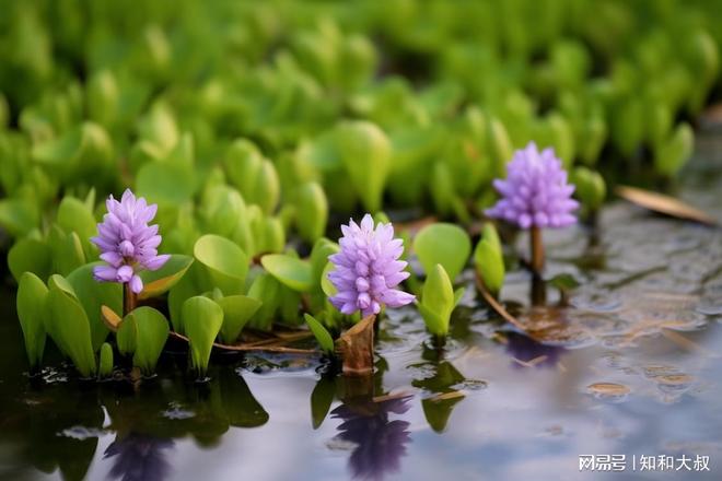 不是婚姻也不是金钱而是这2样东西pg电子首页一个女人最硬的底牌(图2)