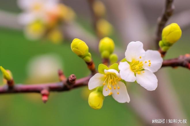 不是婚姻也不是金钱而是这2样东西pg电子