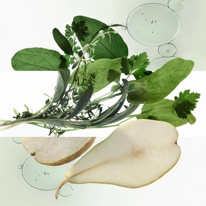 庆序章已启美妆、香氛与腕表共赴闪耀时刻pg电子免费模拟器游戏“伊”手快报 节(图7)